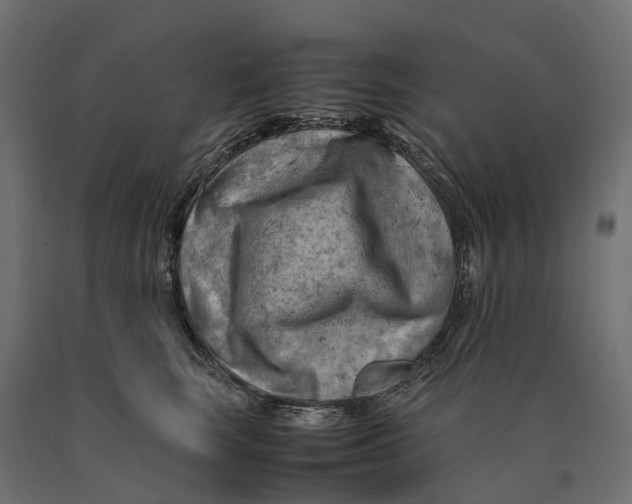 X0000090430663200708031131