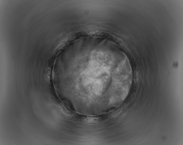 X0000090430664200708031131
