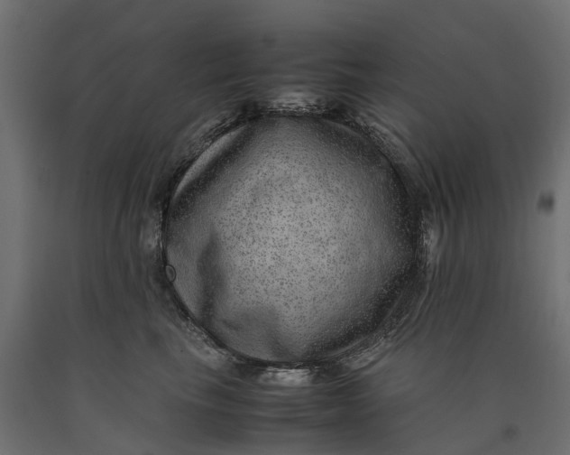 X0000090430665200708031131