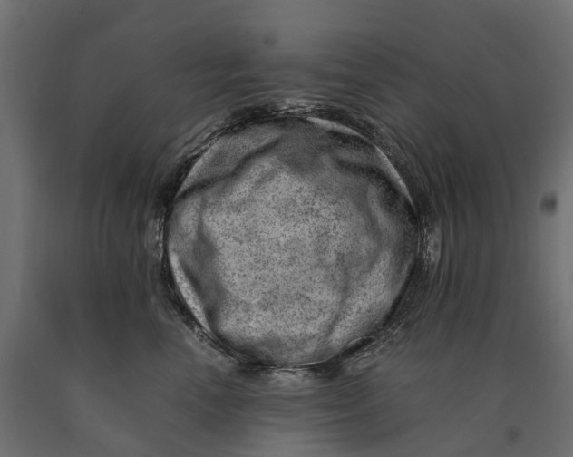 X0000090430666200708031131