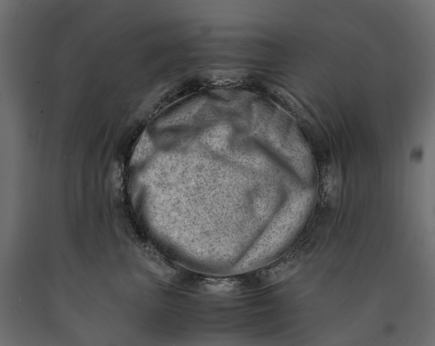 X0000090430667200708031131