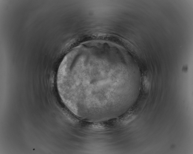 X0000090430668200708031131