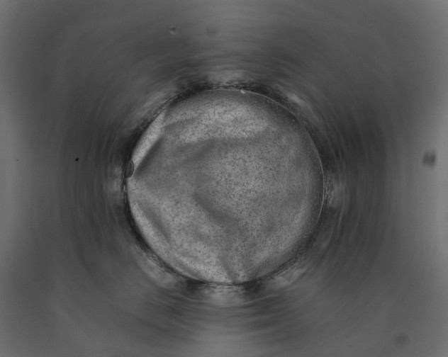 X0000090430670200708031131