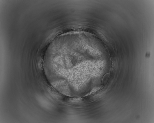 X0000090430671200708031131