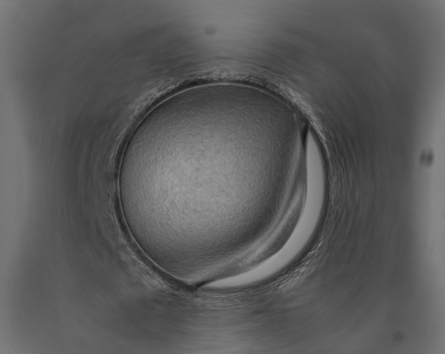 X0000090430673200708031130