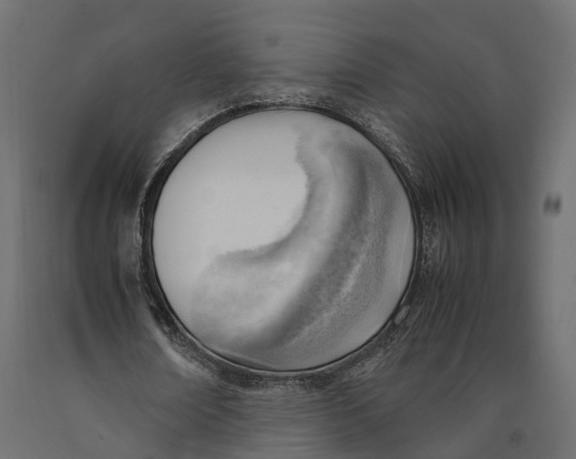 X0000090430674200708031130