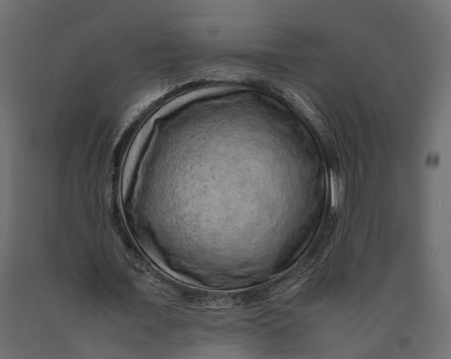 X0000090430675200708031130