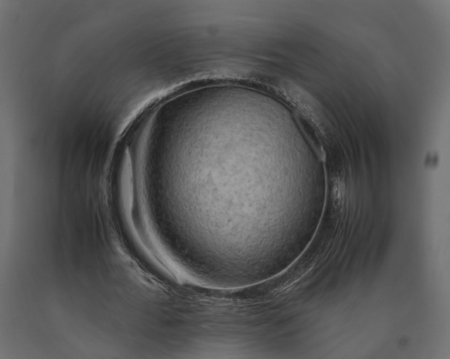 X0000090430676200708031130