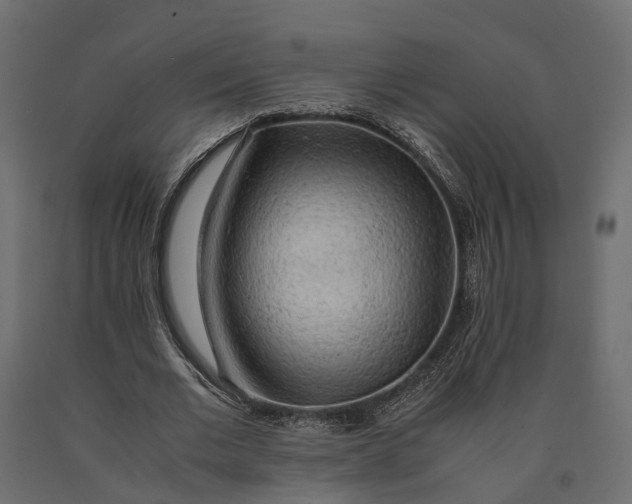X0000090430677200708031130