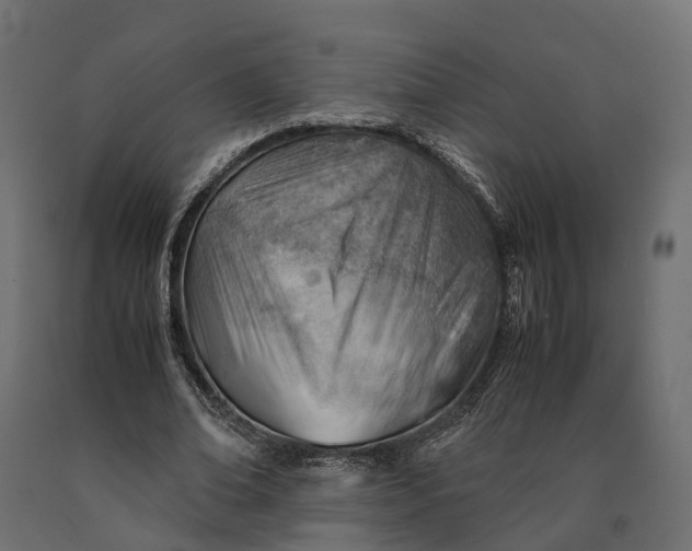 X0000090430678200708031130