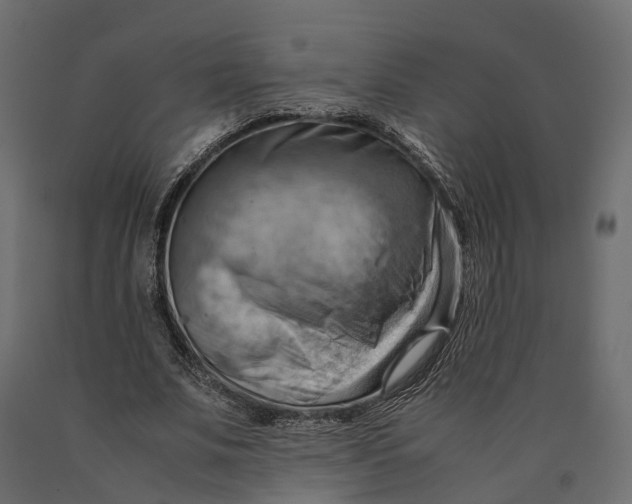 X0000090430679200708031130