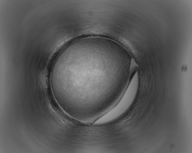 X0000090430680200708031130