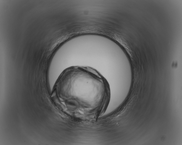 X0000090430681200708031130