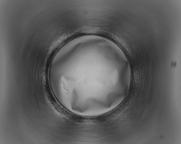 X0000090430682200708031130