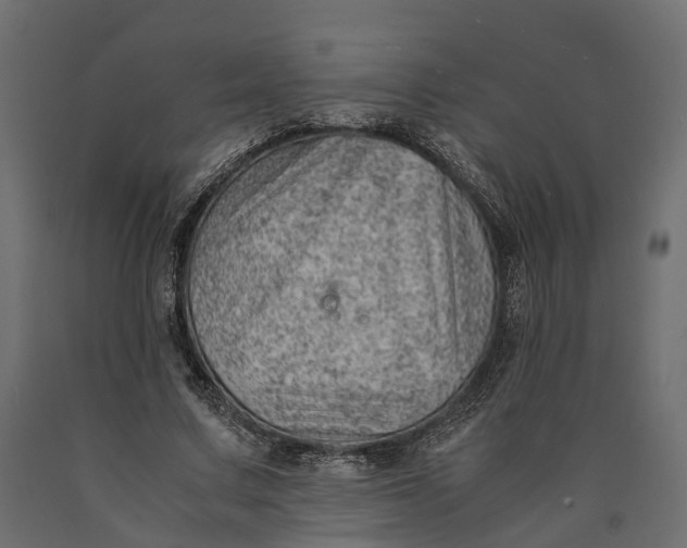 X0000090430683200708031130