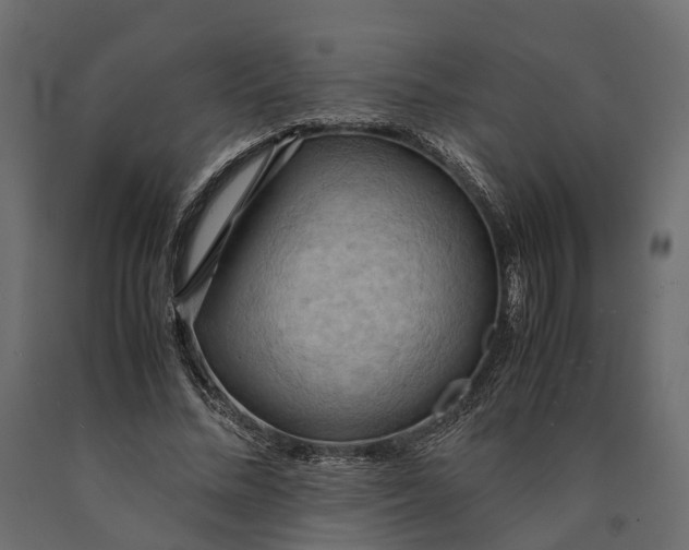 X0000090430684200708031130