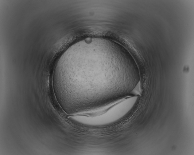 X0000090430685200708031130
