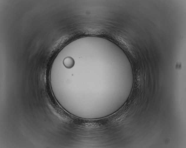 X0000090430686200708031130