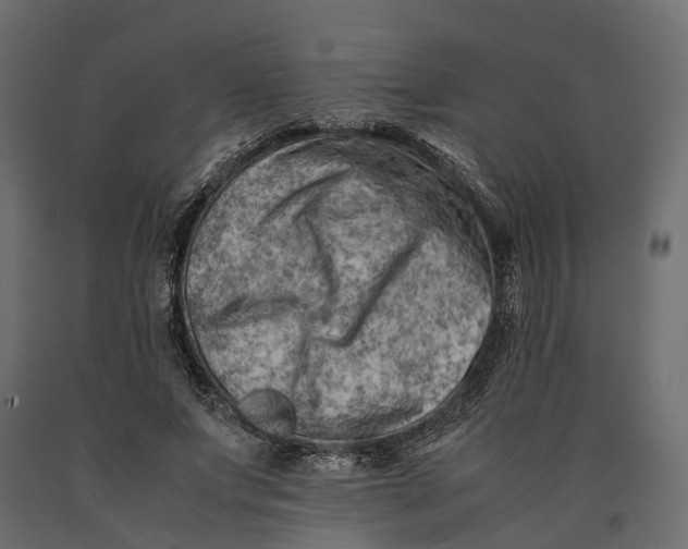 X0000090430687200708031130