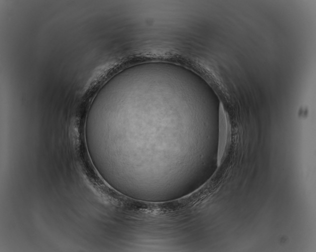 X0000090430688200708031130