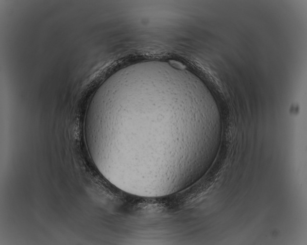 X0000090430689200708031130