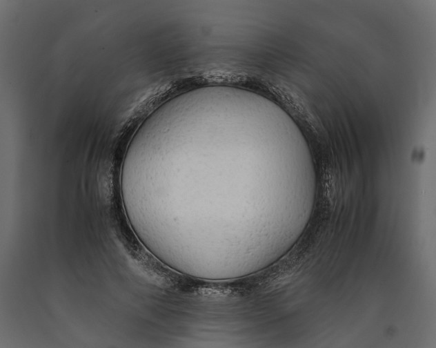 X0000090430690200708031130