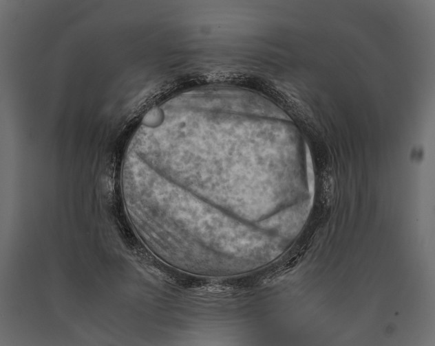 X0000090430691200708031130