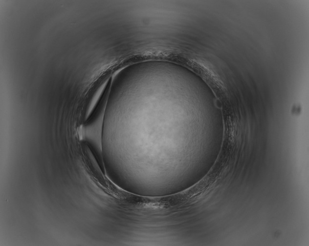 X0000090430692200708031130