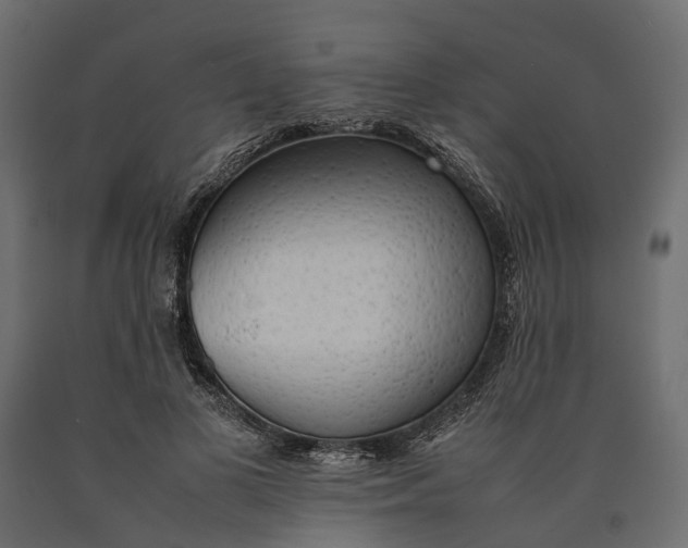 X0000090430693200708031130