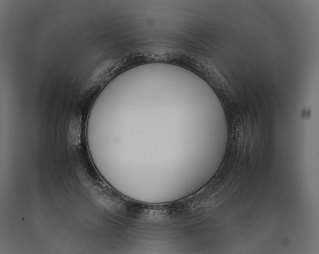 X0000090430694200708031130