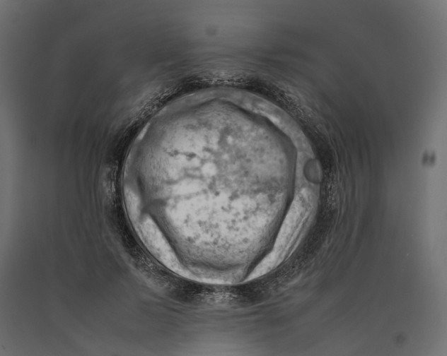 X0000090430695200708031130