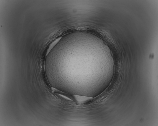 X0000090430697200708031130