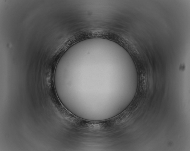 X0000090430698200708031130