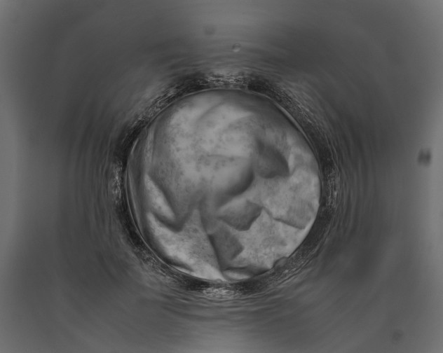 X0000090430699200708031130