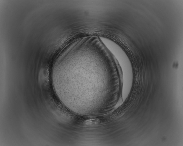 X0000090430700200708031130