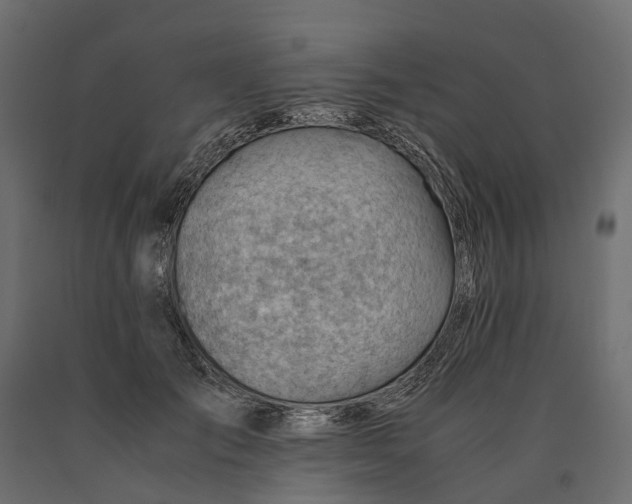 X0000090430701200708031130