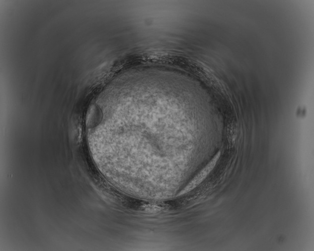 X0000090430703200708031130