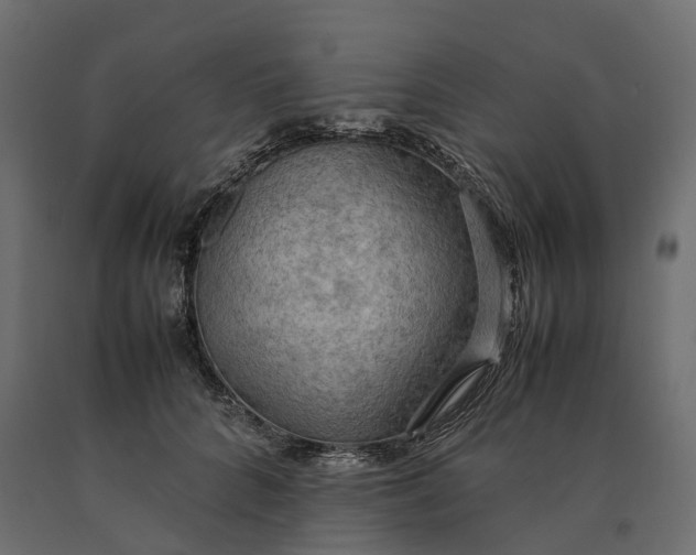 X0000090430704200708031130