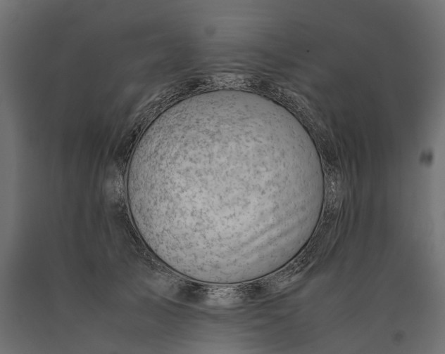 X0000090430705200708031129
