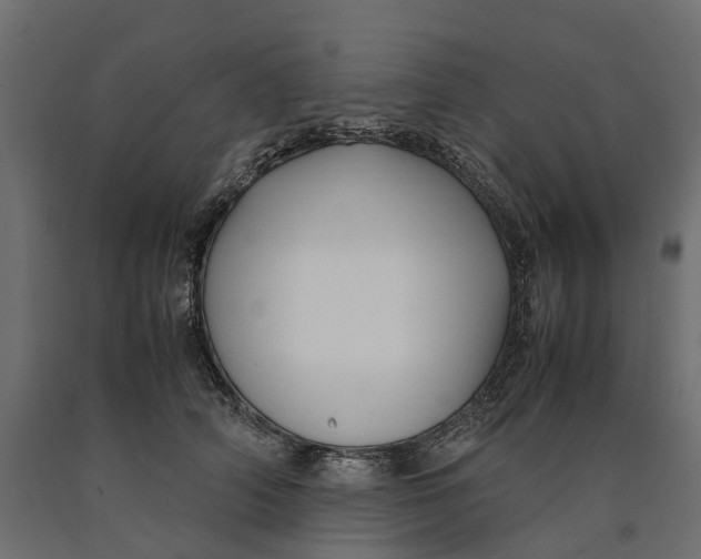 X0000090430706200708031129