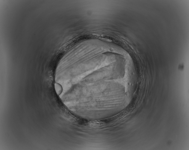 X0000090430707200708031129