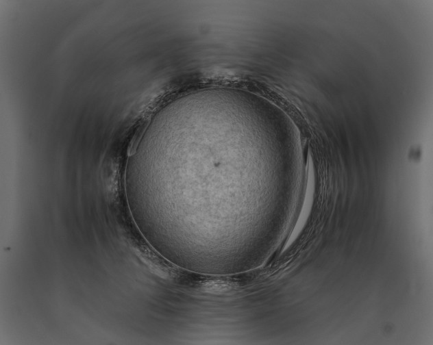 X0000090430708200708031129