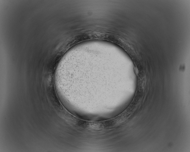 X0000090430709200708031129