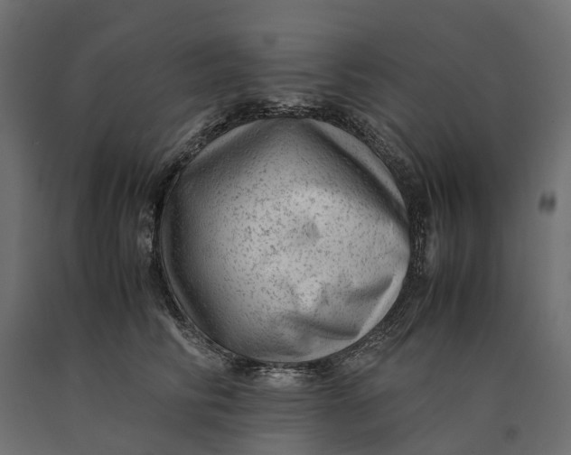 X0000090430710200708031129