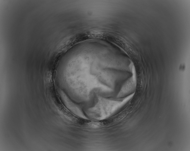 X0000090430711200708031129