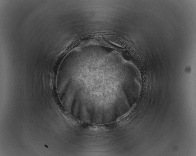 X0000090430712200708031129