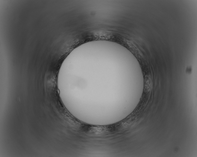 X0000090430713200708031129