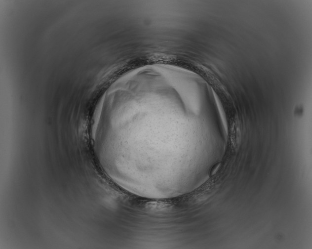 X0000090430714200708031129