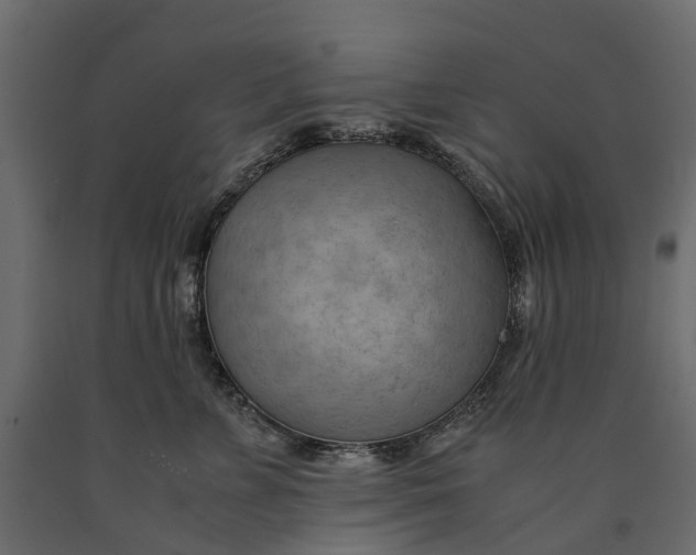X0000090430715200708031129