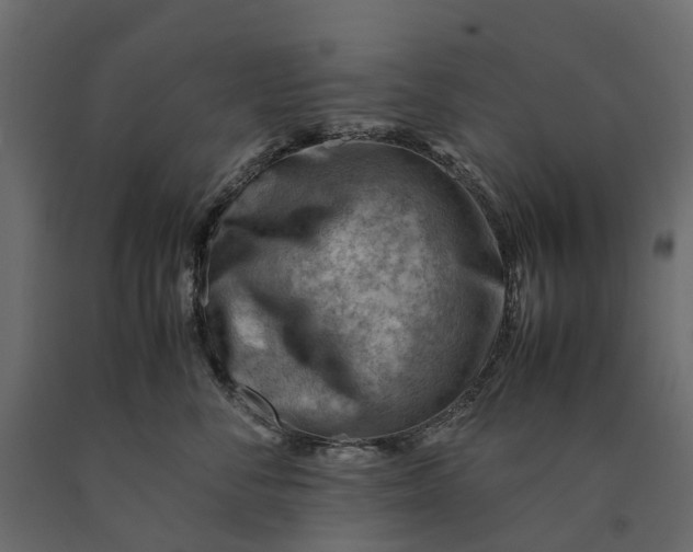 X0000090430716200708031129